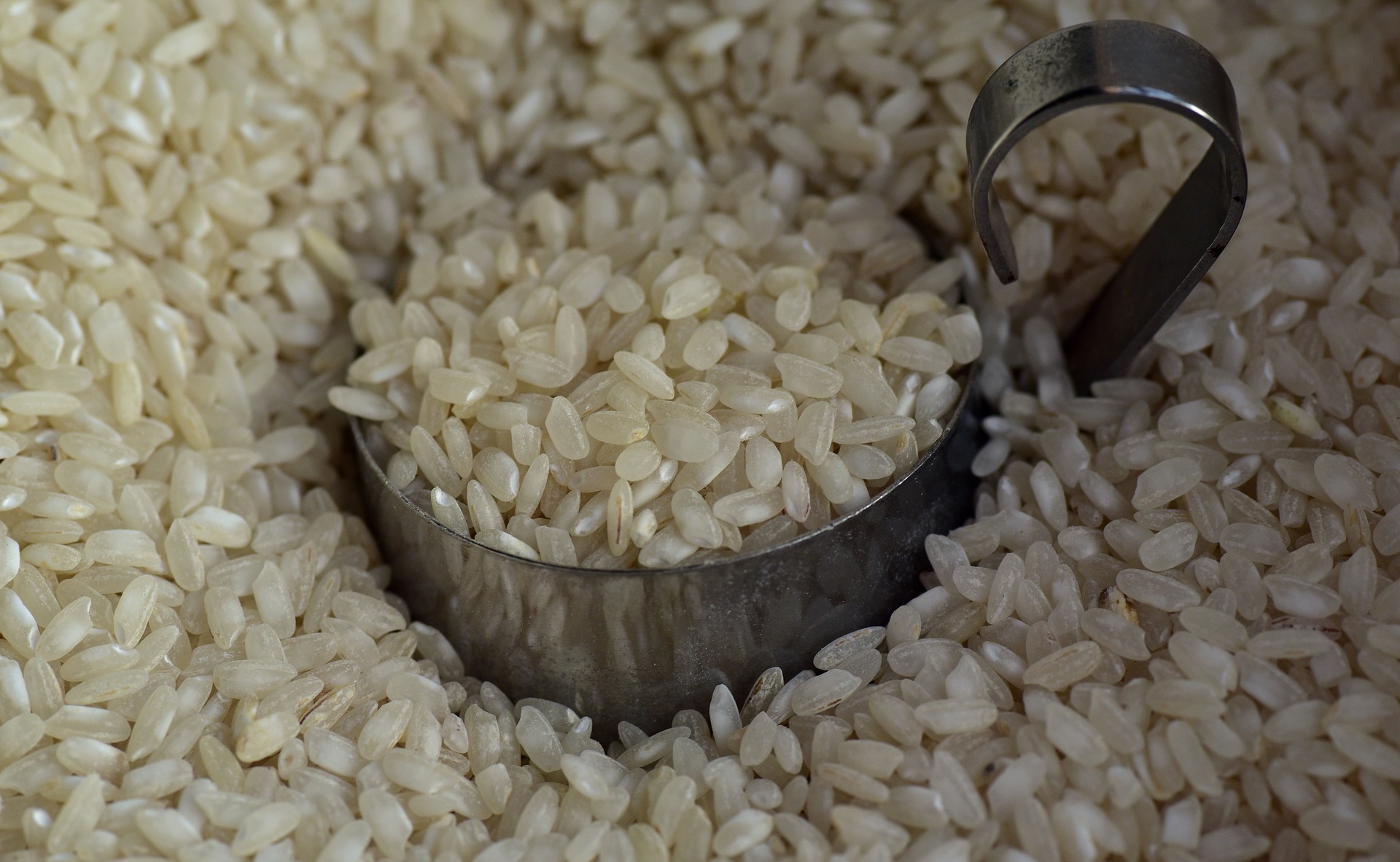 Cook Perfect Rice Every Time!