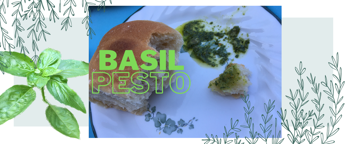 Easy Vegan Basil Pesto